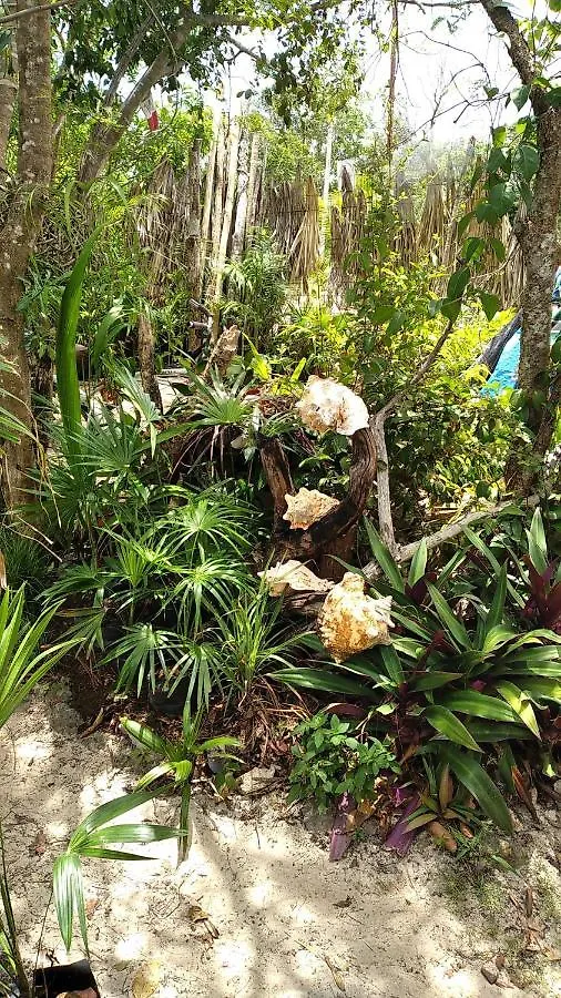 Casa Tunich Ha Tulum Bed & Breakfast 0*,