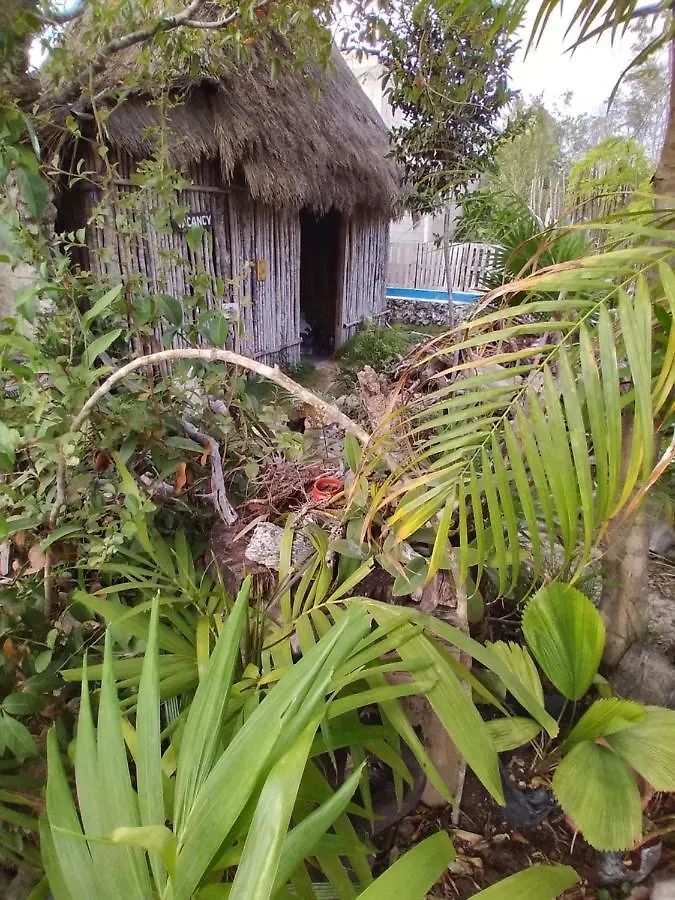 Casa Tunich Ha Tulum Bed & Breakfast 0*,  Mexico