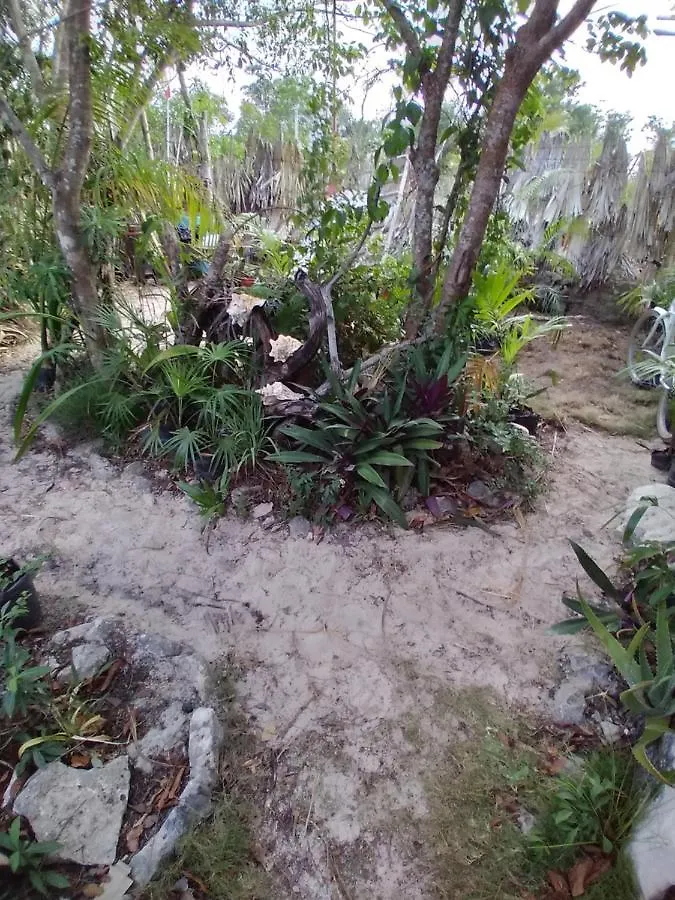Casa Tunich Ha Tulum Bed & Breakfast Mexico